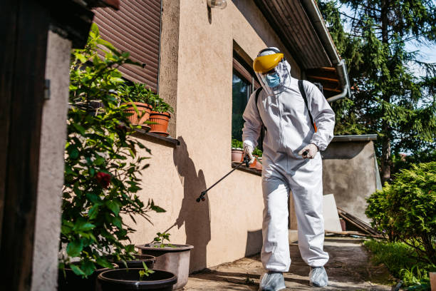 Best Pest Control for Businesses  in Silver Bay, MN