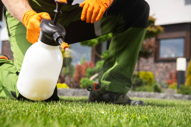 Professional Pest Control in Silver Bay, MN