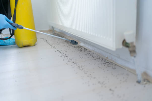 Best Residential Pest Control  in Silver Bay, MN