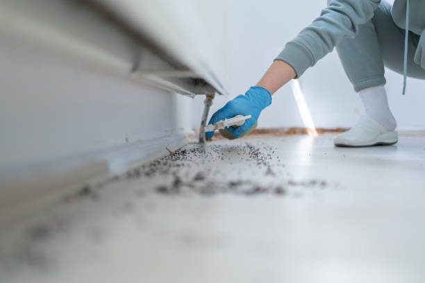Best Best Pest Control Companies  in Silver Bay, MN